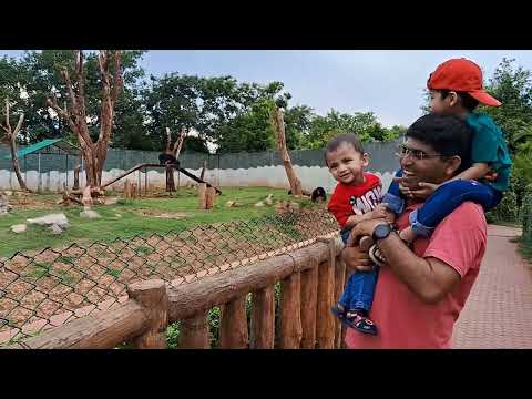 Family trip to Konark,Puri,Chilika lake,Bhubaneswar fromJamshedpur| Episode 2( Day 2&3)|Tata Altroz