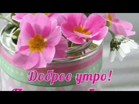 Доброе утро☀️☀️☀️🌺🌺🌺замечательного начала дня🌺🌺🌺