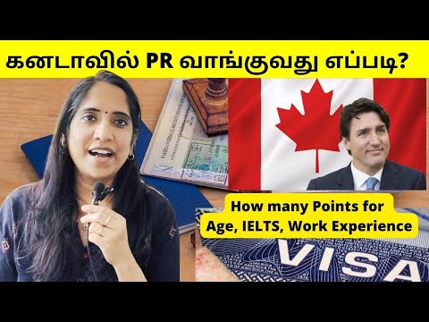 புது நாடு புது வேலை கனடா PR Status பெறுவது எப்படி? Canada PR 2023 #tamil #londontamil #jobs