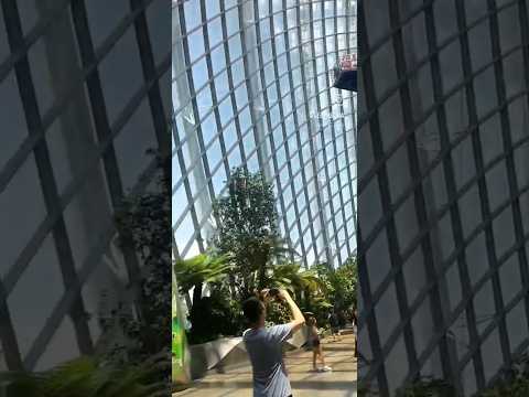 waterfall inside cloud forest, Singapore #singapore #cloudforest #sentosaislandsingapore #famous