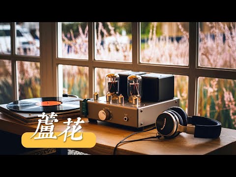 《芦花》之歌，男中音深情献唱，音符间流淌着秋日的宁静，让心灵在芦花摇曳中寻得一份安宁！