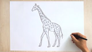 Giraffe Drawing 🦒