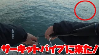 【冬のバス釣り】サーキットバイブ3/8のスピニングPEのリアクションで良型バスゲット