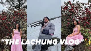 A short trip to North Sikkim🏔️|| The Lachung Vlog⛄️✨