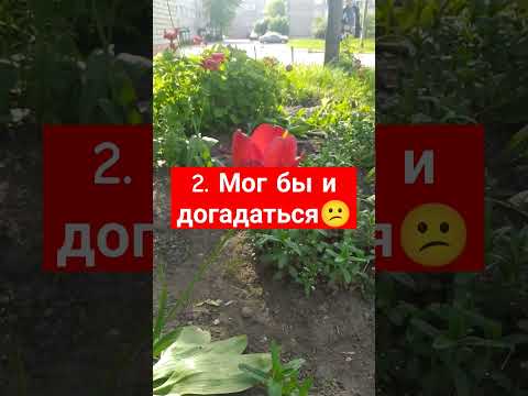 4 Фразы токсичной женщины🙅🏻‍♀️💔😬