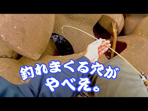 【穴釣り】大物が釣れまくる穴がヤバすぎた。釣りいわき。