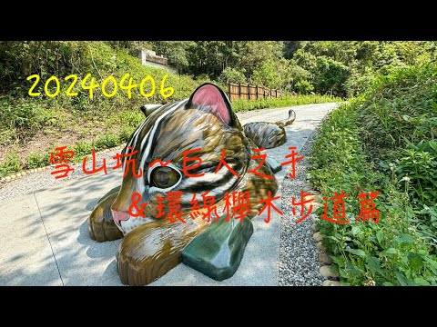 萬ㄟeye台灣20240406雪山坑～巨人之手與環線櫸木步道篇/櫸木四兄弟   4K