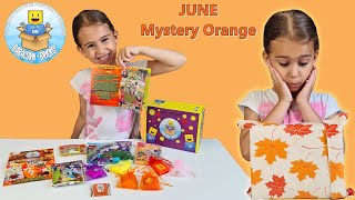 Babacorn-Bricks LEGO Subscription BOX - JUNE 2021 Mystery Orange #GIFTED