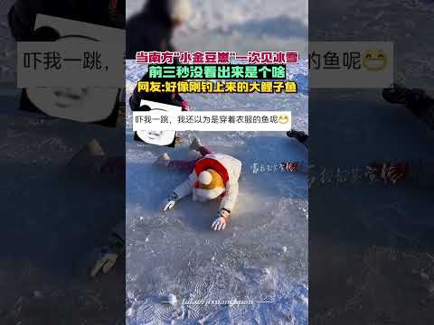 当南方"小金豆崽"一次见冰雪  前三秒没看出来是个啥网友:好像刚钓上来的大鲤子鱼 #东北的冬天 #这个冬天一定要去东北 #冰天雪地任我行