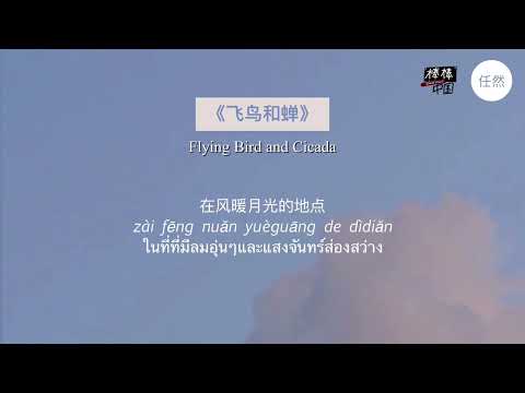 THAISUB-PINYIN | แปลเพลง《飞鸟和蝉》Flying Bird and Cicada — 任然