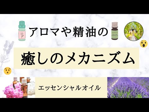 🌹癒しのメカニズム🌹エッセンシャルオイルで癒やしが起こるワケ♪