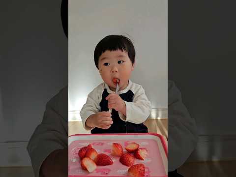 올 겨울 첫딸기🍓 #17개월아기