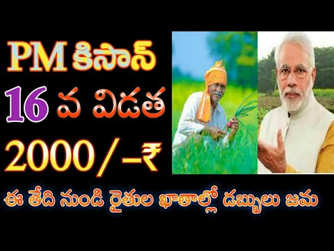 pm kisan 16th installment date 2024//pm kisan 16th installment date 2024 telugu