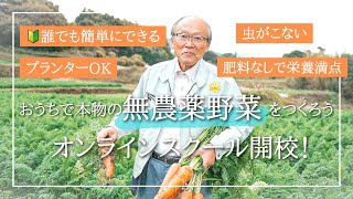 秘訣は発酵！？おうちで無農薬・無肥料栽培で元気な野菜をつくる方法【菌ちゃん先生からのメッセージ】