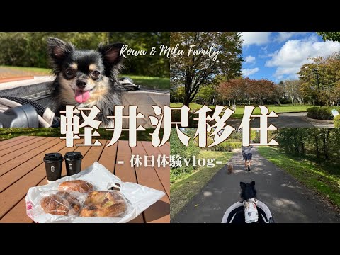 【Karuizawa , Nagano , Japan】 holiday vlog🌼migration