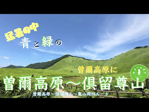 曽爾高原の夏は青と緑で爽やかです