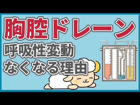 【質問コーナー】胸腔ドレーンで呼吸性変動がなくなる理由