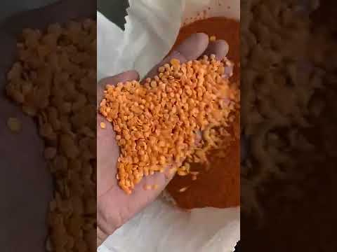 Split Red Lentils Exporters