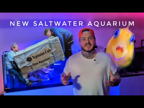 Unboxing My New Saltwater Aquarium | UK Exclusive Reef Tank | Neptunian Cube M-Pro 120