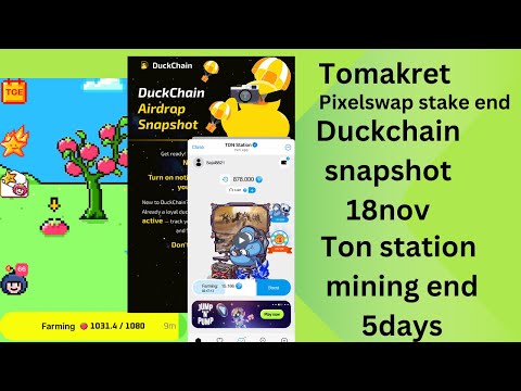 Tomarket pixel swap || ton station airdrop || duck chain snapshot ||