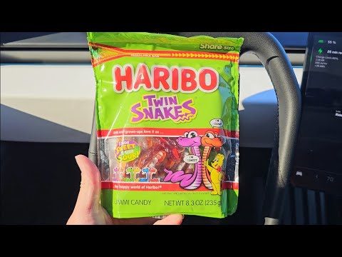 Dollar Tree Haribo Twin Snakes Cherry Orange Apple Lemon Blueberry Blackcurrant Taste Test Review