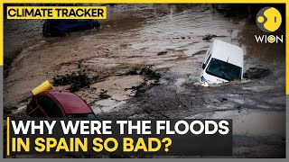 What Caused The Deadly Floods In Spain? | WION Climate Tracker