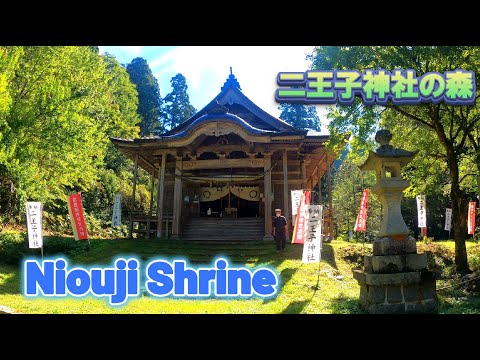 Niouji Shrine ⛩　＃ｍountnioji #nioujishrine #shrine