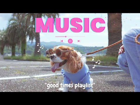 🎧【playlist】さぁ！愛犬と出かけよう ｜vibes上がるお洒落な洋楽集🙌🏼🐩