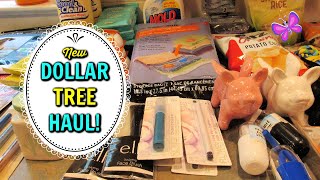 Big DOLLAR TREE HAUL!  NEW FINDS!! September 4, 2020 #LeighsHome