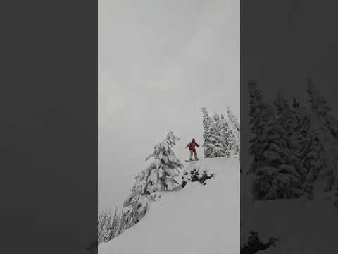 Santa hits the slopes🎿#christmas #christmasdance #christmashits #santa #christmasdancehits  #shorts