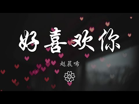 趙晨唏 - 好喜歡你『好喜歡你 想問你知不知道』【動態歌詞Lyrics】