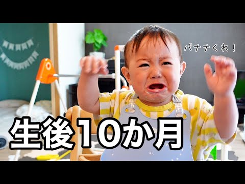 【生後１０か月】泣いたり笑ったり忙しい赤ちゃんのある１日に密着。【雪遊び】