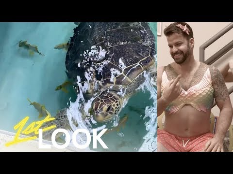 Johnny Bananas Finds Out How the Mermaids and Sharks Survived Quarantine | 1st Look TV