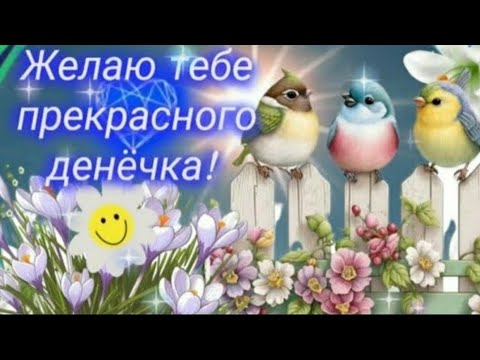 🌺🌷🌈 ПУСТЬ ЭТОТ ДЕНЬ ПОДАРИТ ТЕБЕ МНОГО ПРИЯТНЫХ ЭМОЦИЙ! #хорошего дня