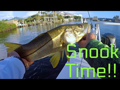 We Went Snook Fishing | Finally