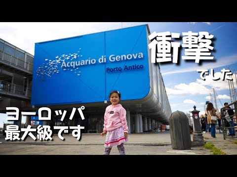 【Vlog】｜超オススメ!! 家族で1日楽しめるジェノヴァの巨大水族館がヤバ過ぎた!!｜Acquario di Genova ｜Vlog. 62