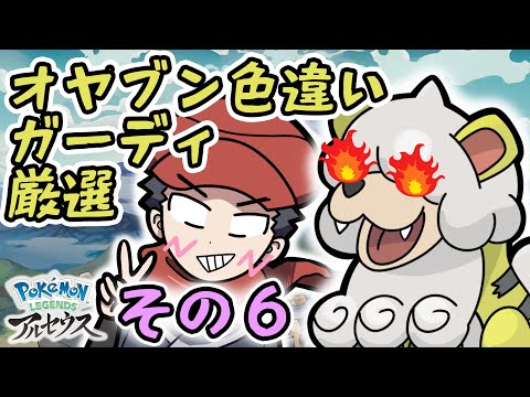 オヤブン色違いガーディ厳選ガチでやる配信その６【Pokémon LEGENDS アルセウス】