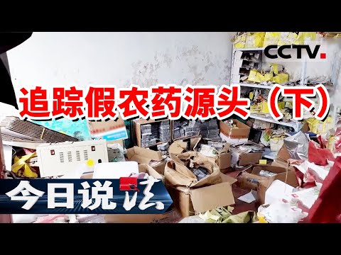 《今日说法》特大假农药案曝光：上亿元体量的“黑色”产业链浮出水面 20241122 | CCTV今日说法官方频道