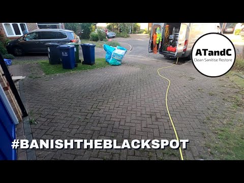 satisfying driveway clean, black spot & resanding #banishtheblackspot