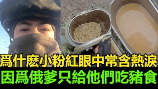 黑哥看中國 | 2024 俄羅斯向中國僱傭兵提供豬飼料，小粉紅投訴品質低劣，類似豬糧