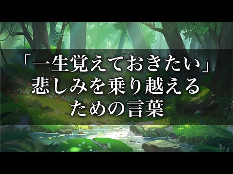 「一生覚えておきたい」 悲しみを乗り越えるための言葉 #名言 #心に響く言葉 #名言集 #人生