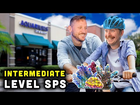 TSA's Top 10 Intermediate SPS!