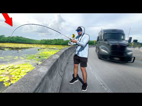 Roadside Fishing the Florida EVERGLADES (Surprise Catch!)