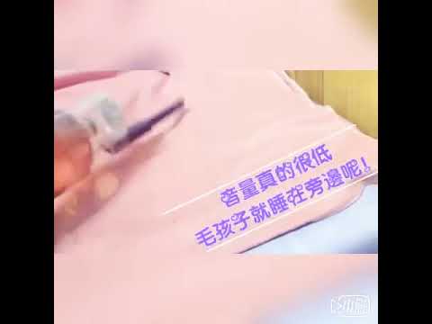 TiDdi鈦敵 氣旋式無線除蟎吸塵器 超好用der