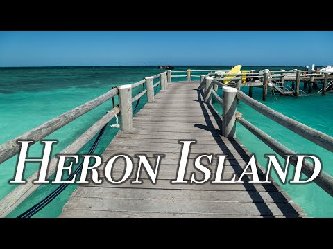 Moving to QUEENSLAND, AUSTRALIA?! Leaving Maleny & Arriving at HERON ISLAND 1度は行きたいグレートバリアリーフの島