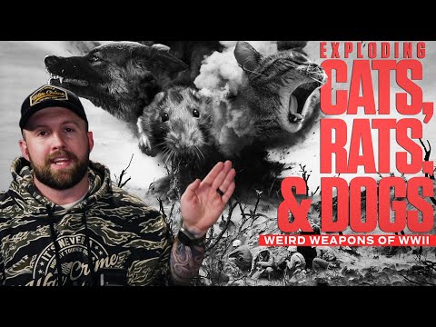 Anti-Tank Dogs & Explosive Rats - Insane Animal Weapons Used In WW2!