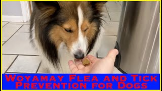 Woyamya Flea and Tick Prevention for Dogs || MumblesVideos Product Review @woyamayPet