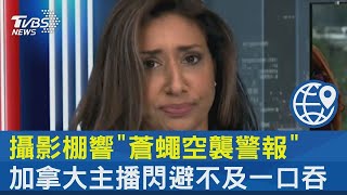 攝影棚響「蒼蠅空襲警報」 加拿大主播閃避不及一口吞｜TVBS新聞