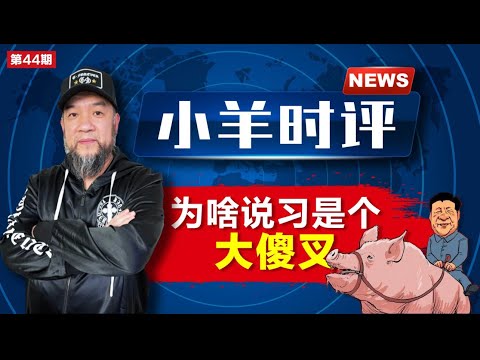 小羊之鼓与呼  第53期  20231027  为啥说习是个大傻叉  八