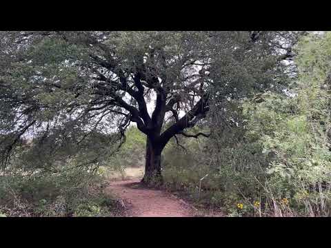 Trail of Discovery, Randy "Windtalker" Motz, Native American style flute